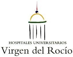 Hospital Infantil Virgen del Rocío. Campaña Juguetes 2010